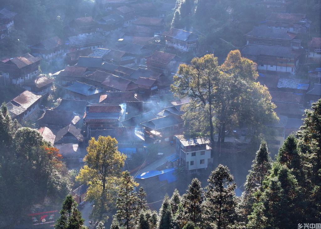 树木掩映下的广西柳州市融水苗族自治县杆洞乡乌英苗寨（无人机照片，2024年11月9日摄）。