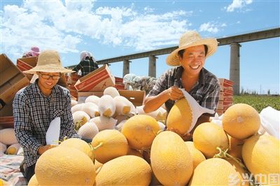 “甜蜜引擎”激活乡村活力(图2)