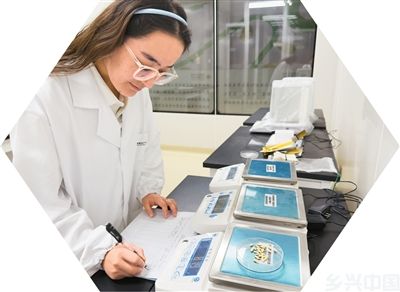 “甜蜜引擎”激活乡村活力(图9)