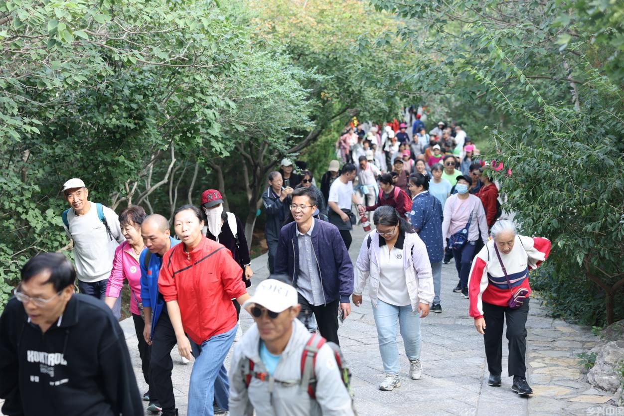 市民游客在济南佛慧山参加山林绿道登山健步活动。子龙摄