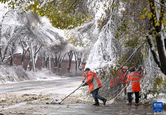 新疆多地迎来降雪(图6)