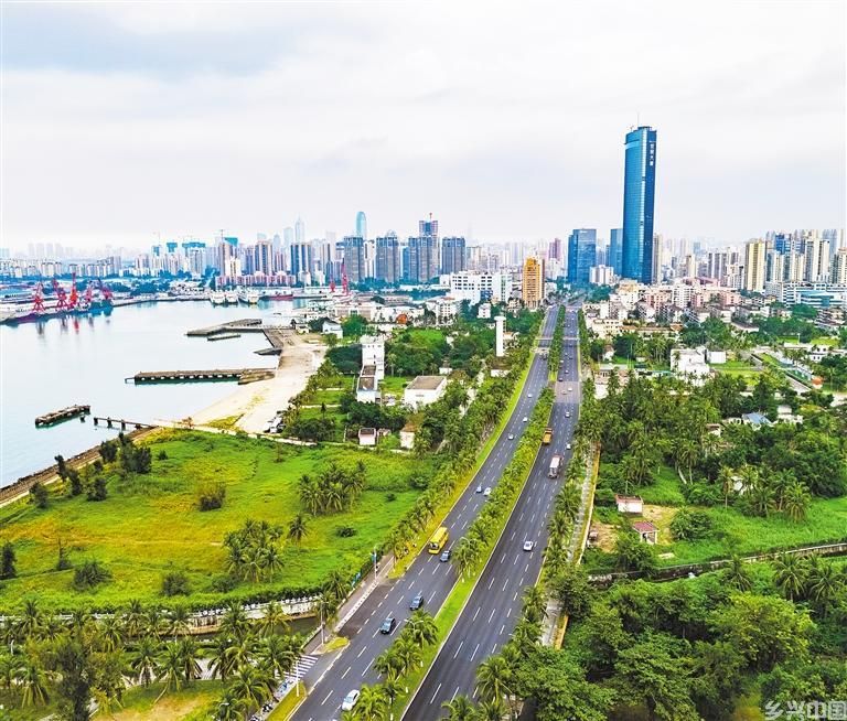 机遇海口(图4)
