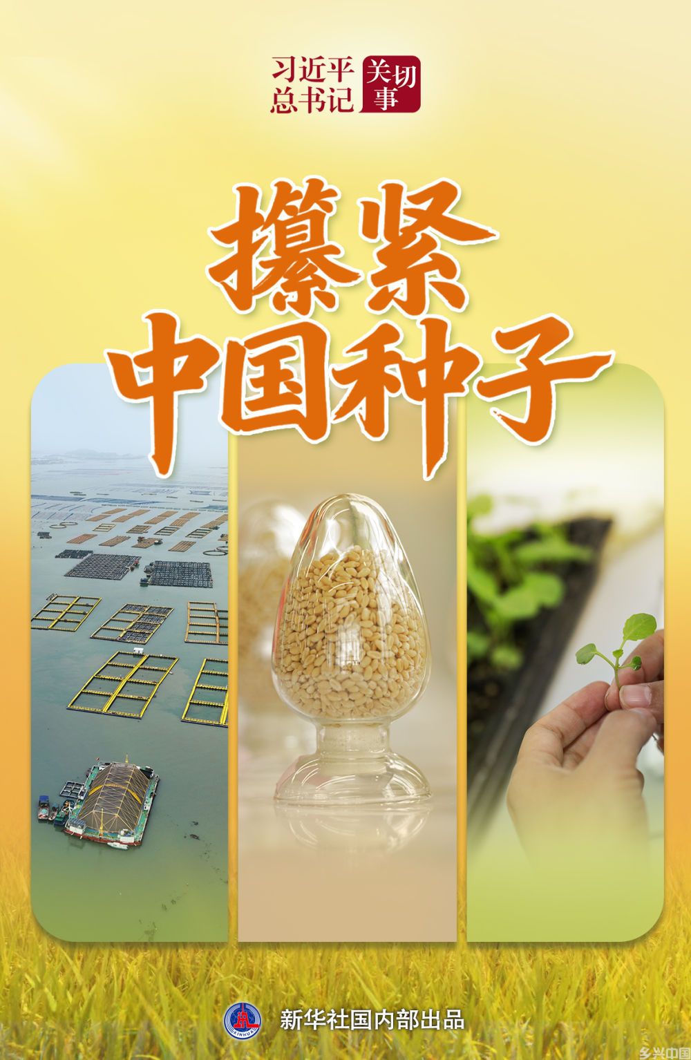 攥紧中国种子(图1)