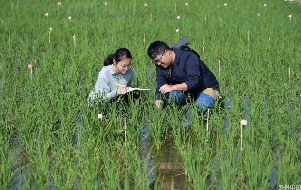 攥紧中国种子(图3)
