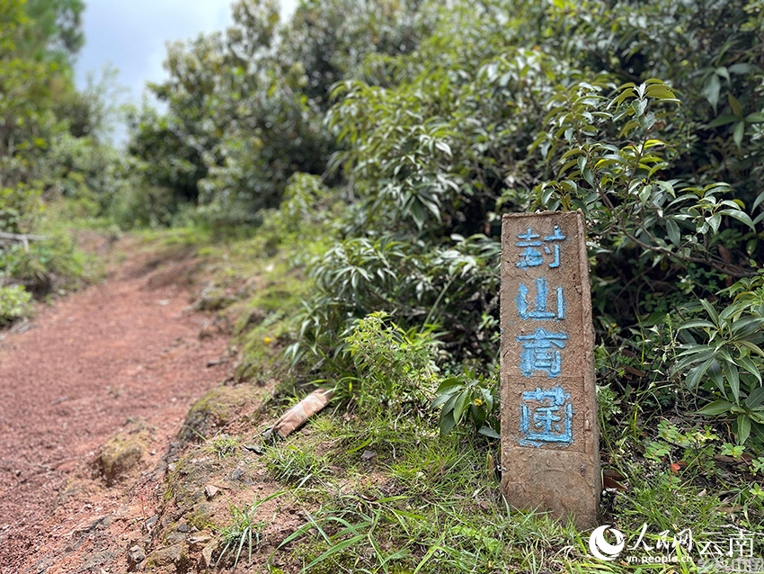 封山育菌标牌在南华的山林里随处可见。人民网记者 程浩摄