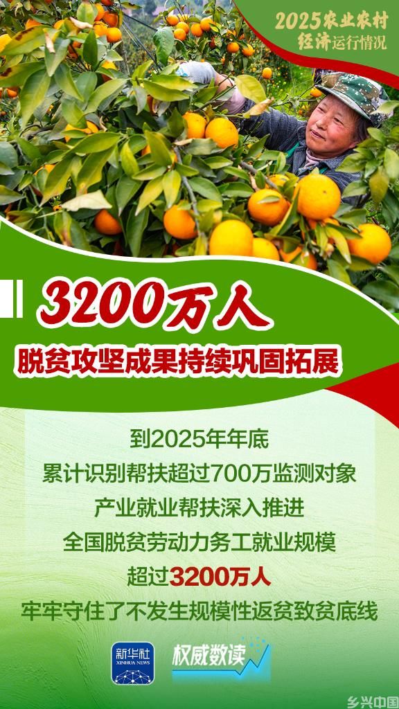 增产、增收、增强！2025农业农村经济运行“成绩单”来了！(图3)