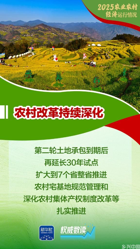 增产、增收、增强！2025农业农村经济运行“成绩单”来了！(图8)