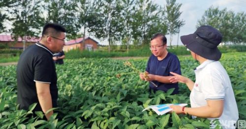 寻找中国大豆单产提升之路(图3)