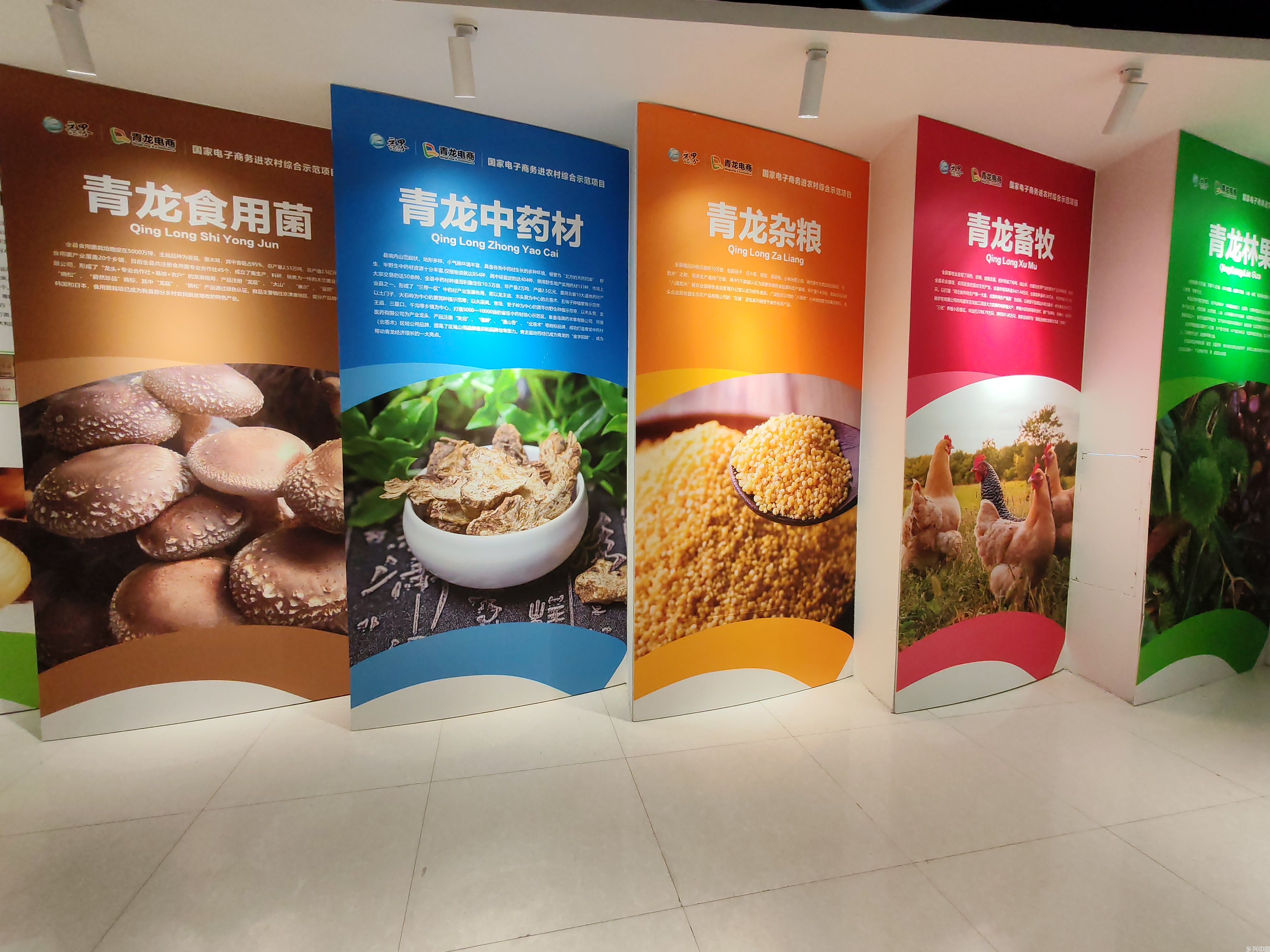 守好底色探新路——河北这个县，一年网销“土货”30亿(图3)