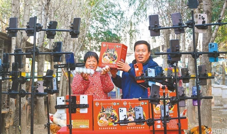林下经济(图4)