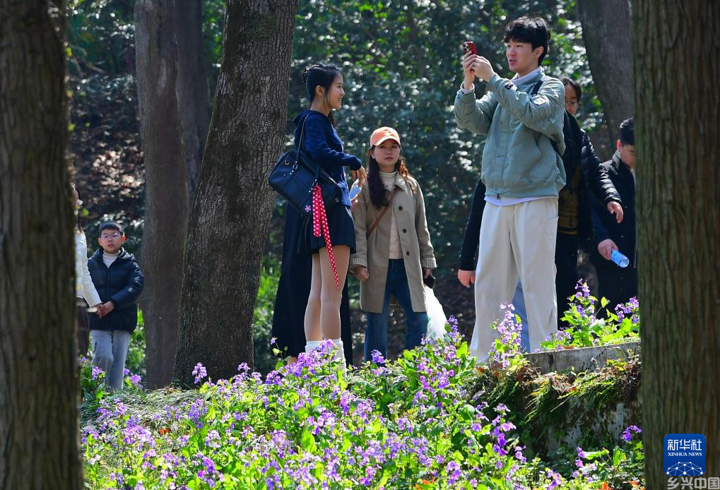 春光明媚赏花时(图15)