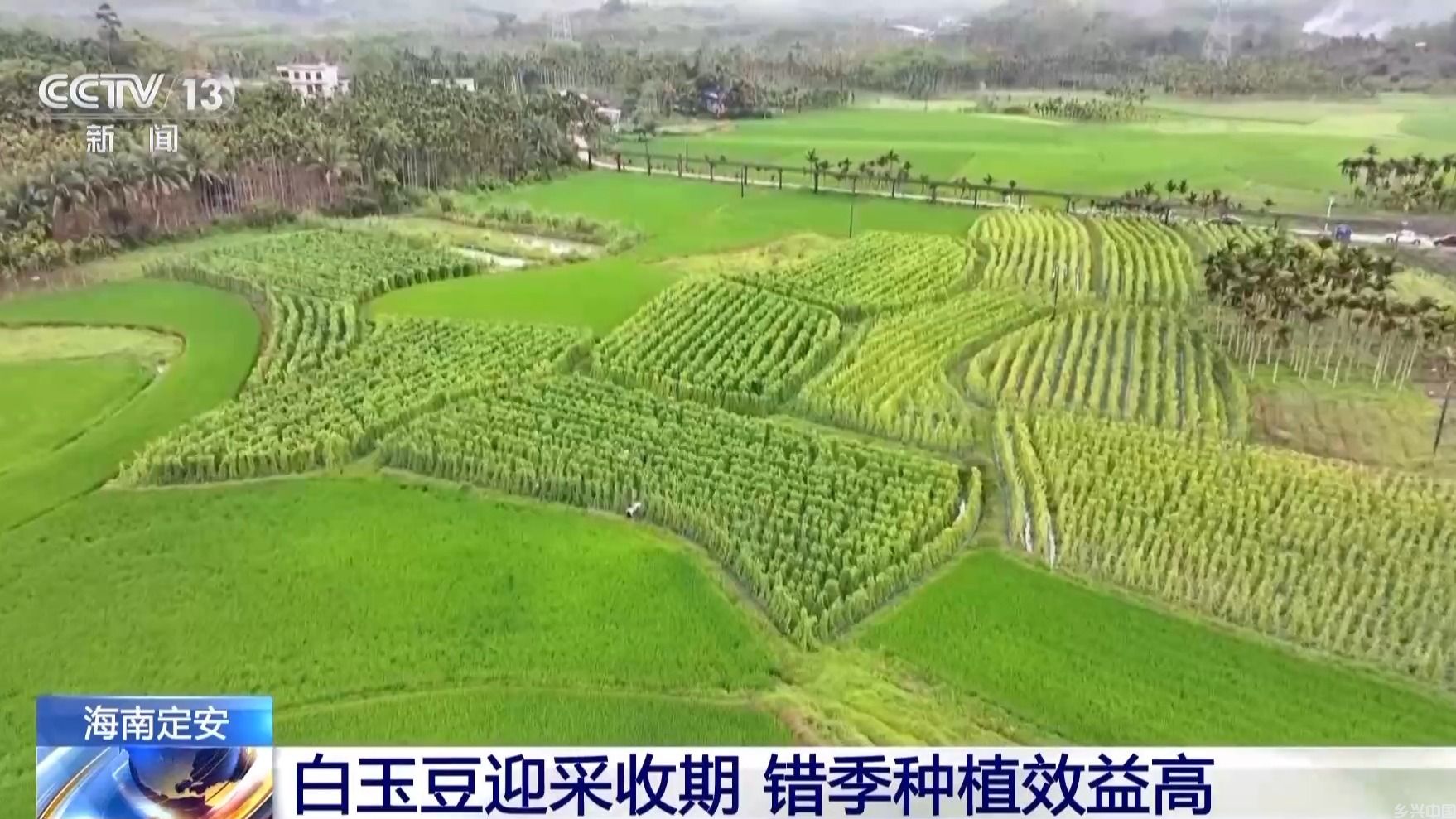 抢抓农时 各地按下春耕备耕“加速键”(图7)