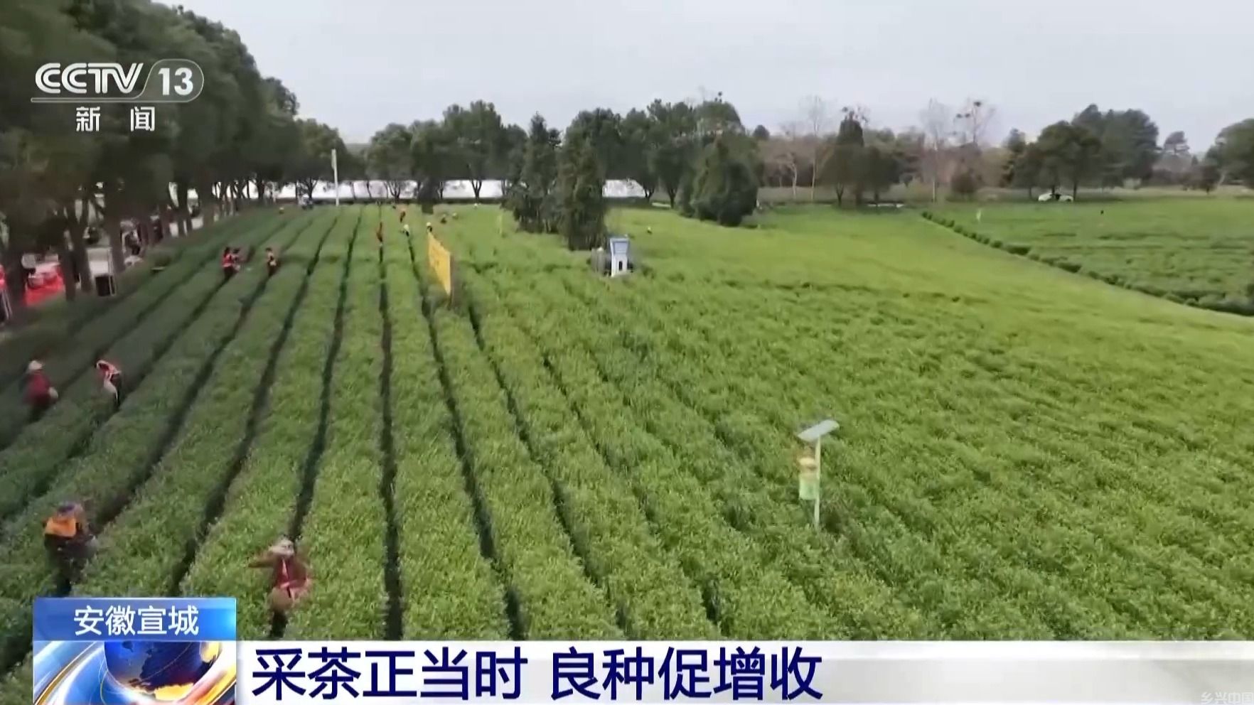 抢抓农时 各地按下春耕备耕“加速键”(图8)