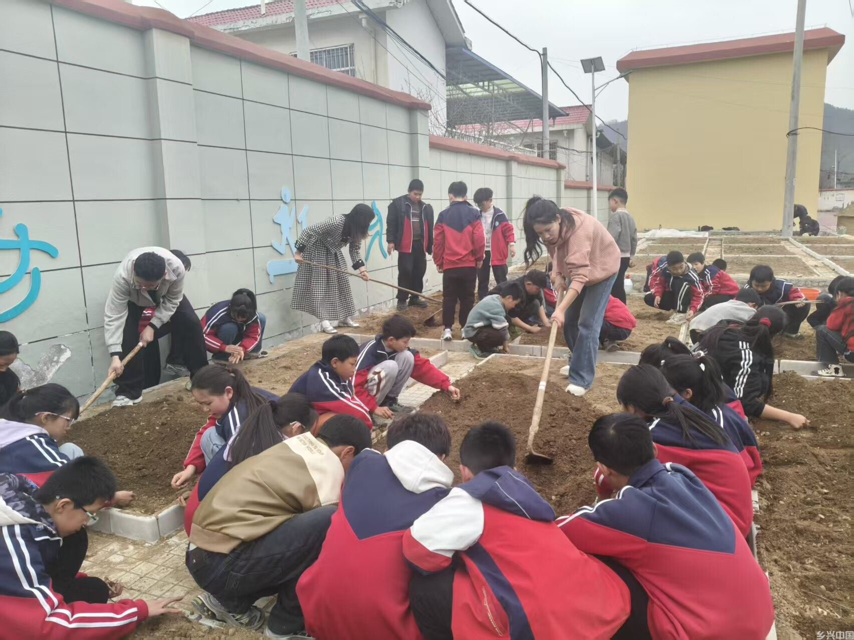 百草园里植新芽 &nbsp;“点心教育”育全人  ——南召县马市坪乡西大庄小学“把希望写进春天”系列活动(一)(图3)