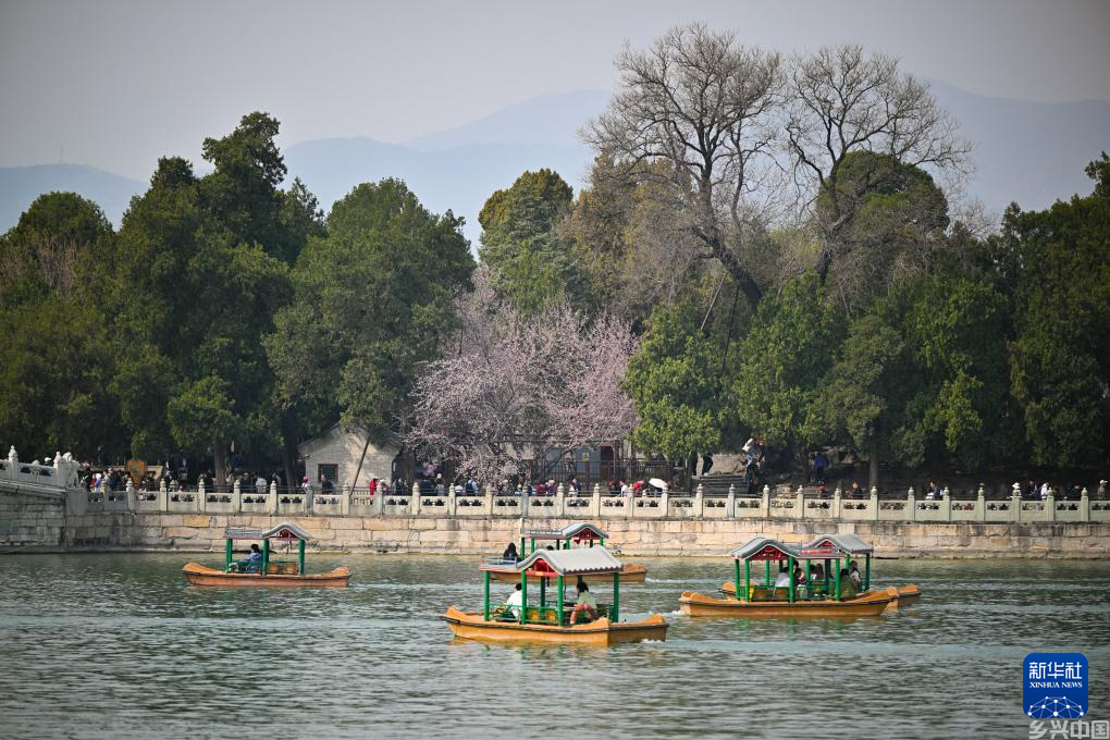 颐和园寻春(图1)