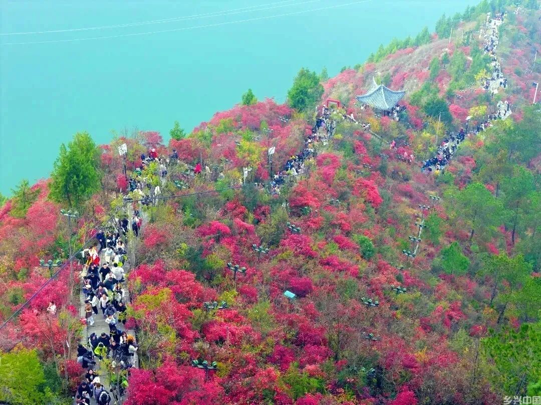 文旅转型新动向:从“经营景点”到“经营一座城”(图3)