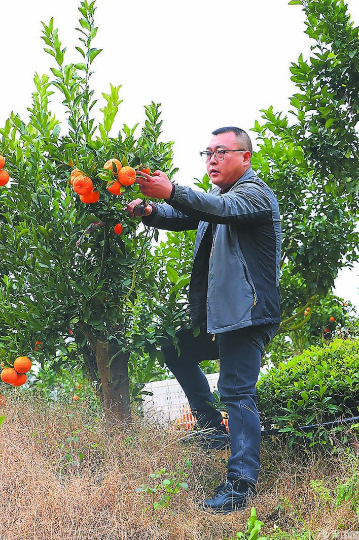 一条党建链串起千亩“甜蜜产业”(图2)