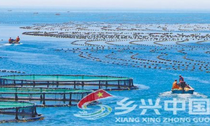 探访“蓝色粮仓” 体验耕海牧