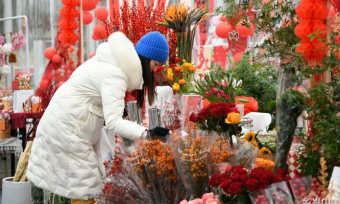 成都：逛年宵花市 喜迎新春