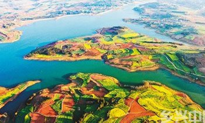 春来花意浓