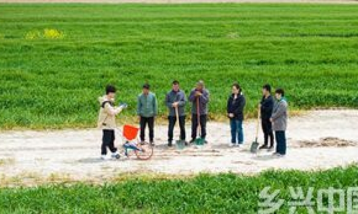 江苏东台：让盐碱地变粮仓、变美景