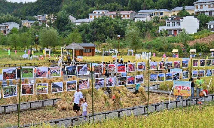 湖北竹山：举办田园影展 打造“五美乡村”