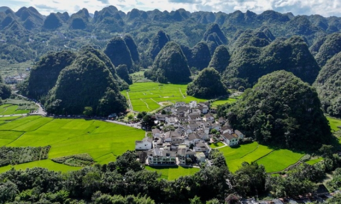 贵州兴义：夏日田园美如画