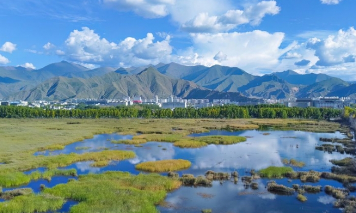西藏拉萨：拉鲁湿地风光美
