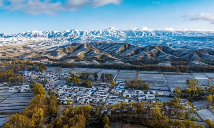 甘肃天祝：雪后初晴景如画