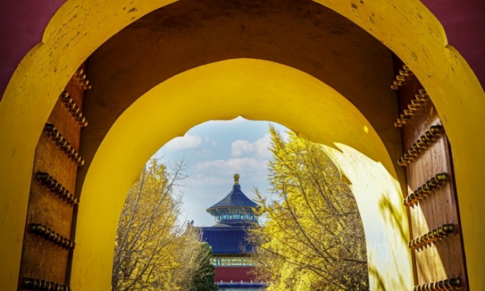 中轴线初冬风景如画