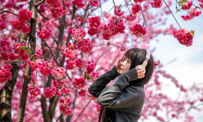 花开时节又逢君