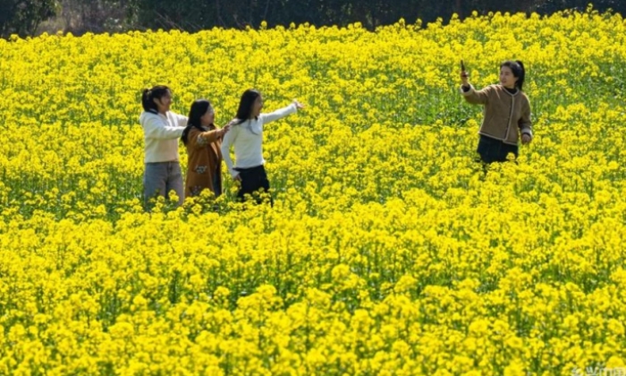 尽享春日芳华