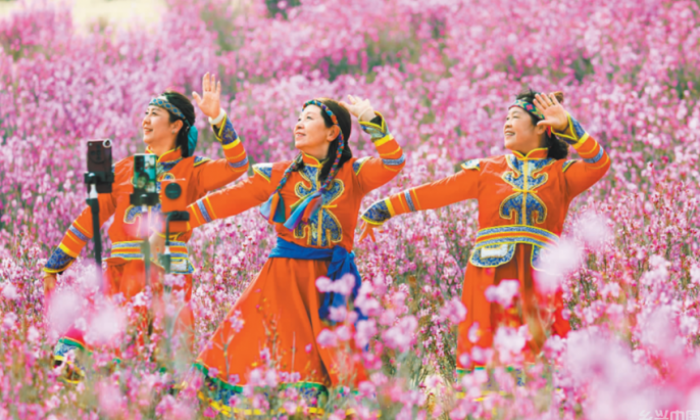 老有所乐