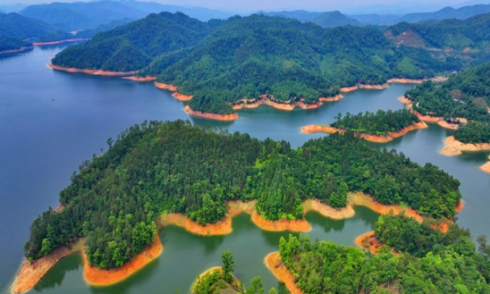湿地公园景色美
