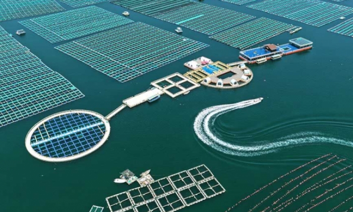 海洋牧场“唱响”海上渔歌