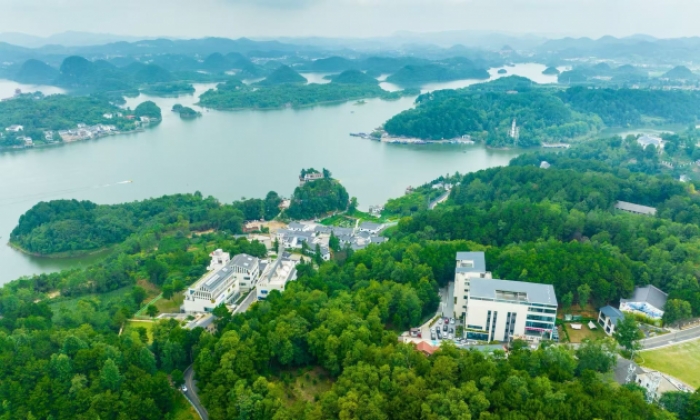 数字画笔绘就乡村新景