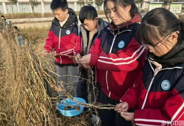 搜狗高速浏览器截图20251216212421.png