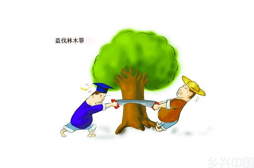 微信图片_20240411083932.png
