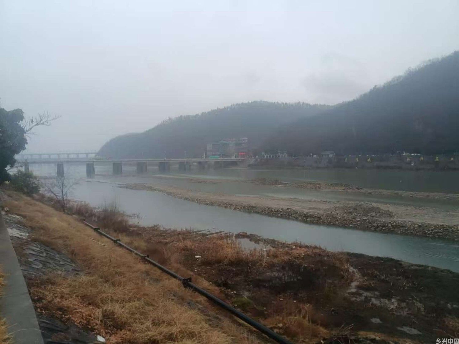 77.jpg