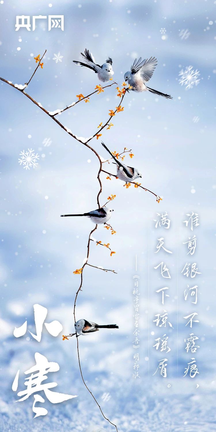 微信图片_20240105214105.jpg