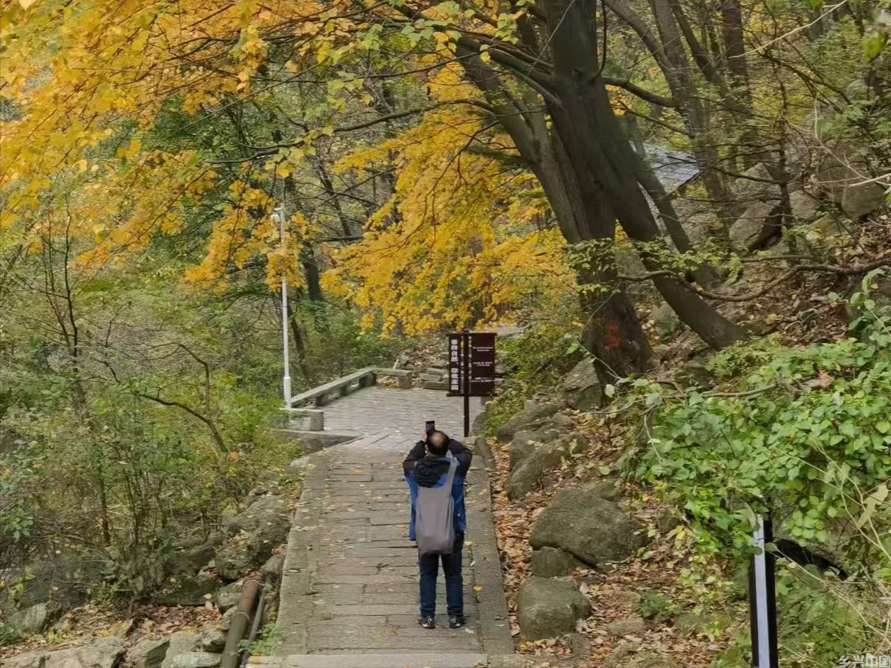 5464645665.jpg