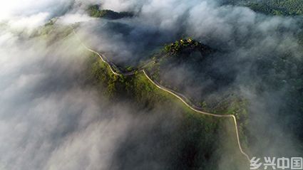 DJI_01831.jpg
