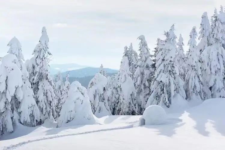 雪挂.jpg